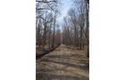 Property photo 101 - REAL ESTATE & PERSONAL PROPERTY AUCTION, 140 Acres offered in 8 Tracts or Combinations in Steuben County